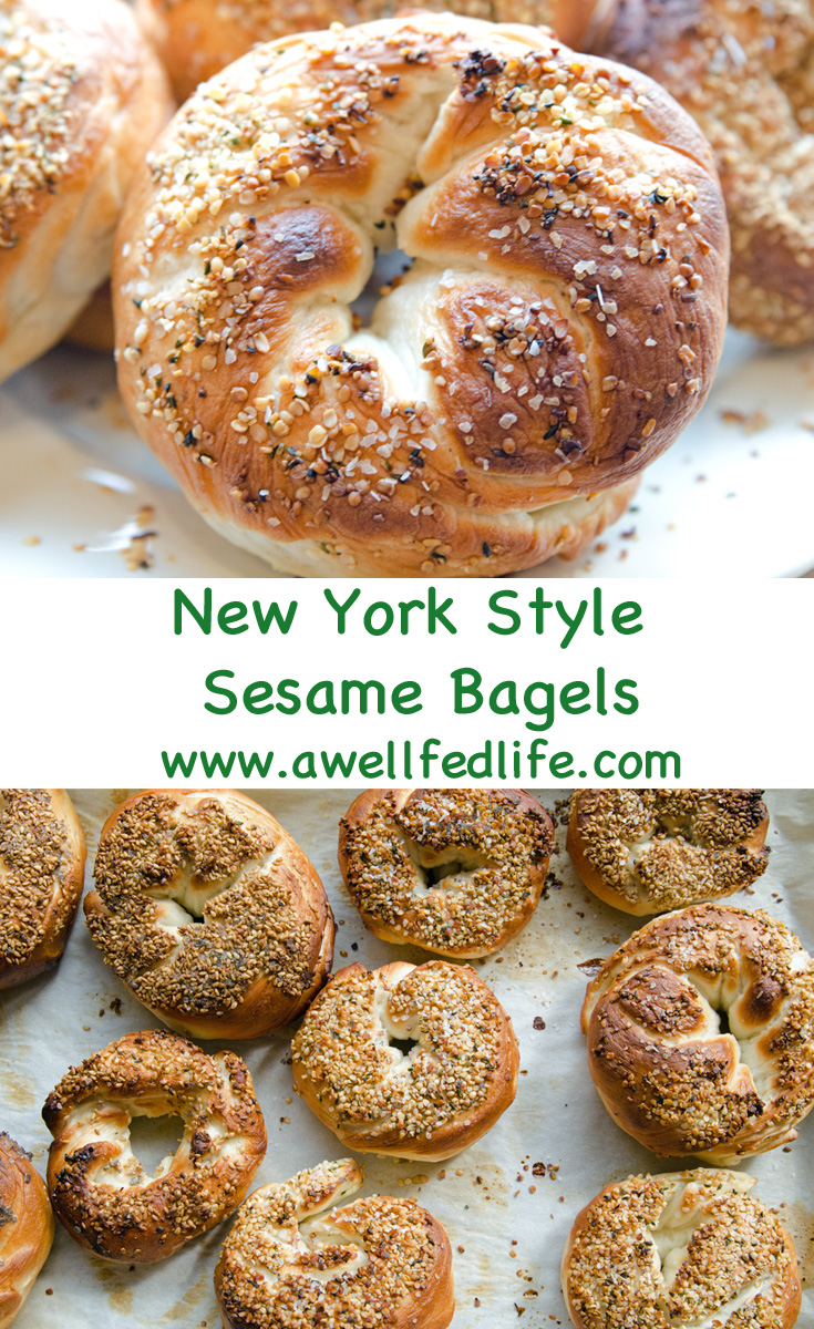 New York Style Sesame Bagel